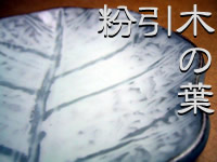 粉引木の葉