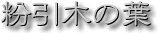 粉引木の葉